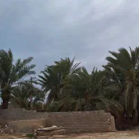 اجاره خانه|اجارهٔ خانه و ویلا|دلوار, |دیوار