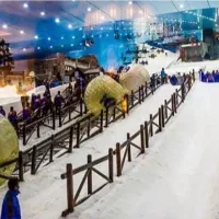 تفریحات در جزیره کیش|تور و چارتر|کیش, |دیوار