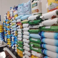 انواع برنج پاکستانی، خسروی