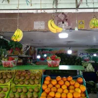 مغازه اجاره ای