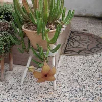 قیمت مناسب