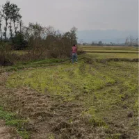 باغ مناسب کیوی سند ثبتی چسبیده به مسکونی|فروش زمین و ملک کلنگی|پرهسر, |دیوار