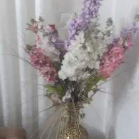 باغ-ویلایی