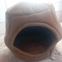 وسایل سگ|لوازم جانبی حیوانات|قشم, |دیوار