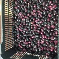 فروش جم درکهنوج