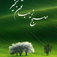 فروش زمین ۱۹۵ متری