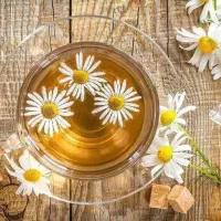 گفت‌وگوی دوستانه درباره سبک زندگی سالم