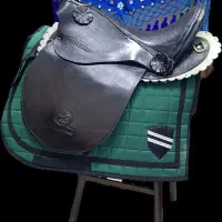 سوار کار اسب