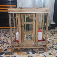 لانه مرغ بزرگ تمام نراد