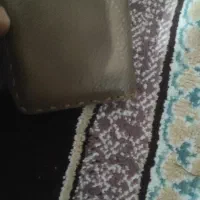 گم شده