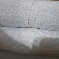 تشک پشمی