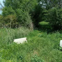 زمین در روستای گرده وباغ ۵۰۰۰متری در میرزانق|فروش زمین و ملک کلنگی|عنبران, |دیوار