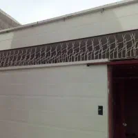 حفاظ شاخگوزنی|خدمات پیشه و مهارت|بوشهر, |دیوار