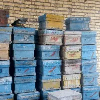 کندو زنبور|حیوانات مزرعه|مرودشت, فاز اول شهرک فرهنگیان|دیوار