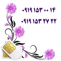 0919.153.0014|سیم‌کارت|یزد, |دیوار