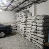 گندم بذری دیم درجه یک کم نظیر|خدمات باغبانی و درختکاری|خرم‌آباد, |دیوار