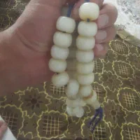 تسبیح استخانی