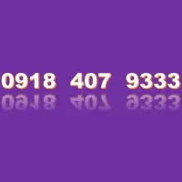 09184079333