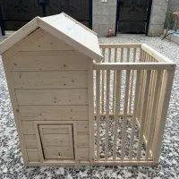 لانه سگ لونه سگ