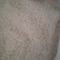 برنج علی کاظمی