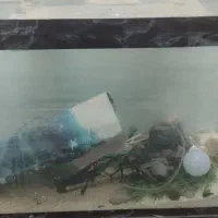 آکواریوم ۲۰۰ عدد