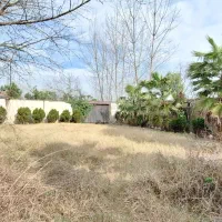 زمین-400متری-سند-تک-برگ-سوئیت-و-آلاچیق-بر-آسفالت