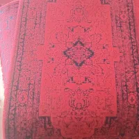 انواع پاخودهای ۷۰۰شانه فرشی فقط عمده ۵۰تابه بالا|پادری|شیراز, بازار|دیوار