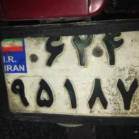 گم شده