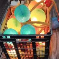 ریسه جشن و چراغانی ۲۰شعله