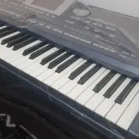 ارگ پیا ۸۰۰ سالم