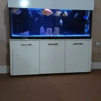 آکواریوم بزرگ و شیک