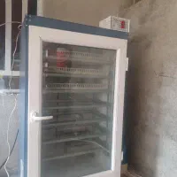 دستگاه جوجه کشی ۵۸۰ تایی