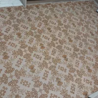 موکت|موکت|سبزوار, قاضی زاد|دیوار