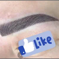 آرایش دائم صورت.فیبروز شیدینگ|خدمات آرایشگری و زیبایی|شیراز, نصر|دیوار
