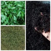 چای خشک دستی