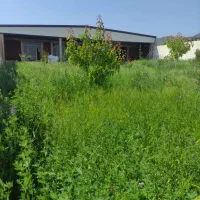 فروش زمین خ ساحلی ۱۸۰مترمحمودآباد