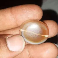 مهره زبونی کهنه