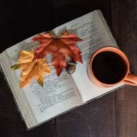 کلاس مکالمه(فری دیسکاشن) زبان انگلیسی،پارتنر زبان