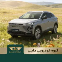 فروش اقساطی‌ فونیکس FX EV /گروه خودرویی دلیلی