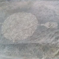 روفرشی کشدار