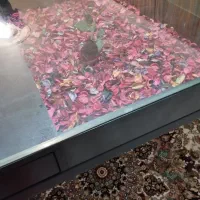 میز غذاخوری چهار نفره با طرح گل