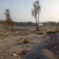 ۲۵۰ متر زمین اخر بلوار سعدی بفروش میرسد