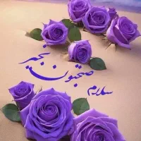 راهنمایی داوطلبانه