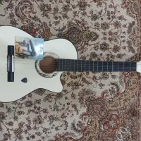 گیتار دیاموند|گیتار، بیس، امپلیفایر|خوی, |دیوار