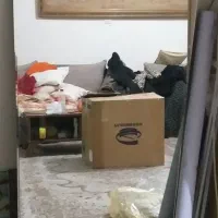 آئینه قدی فروشی