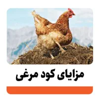 کود مرغی خالص