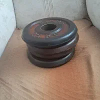 صفحه هالتر