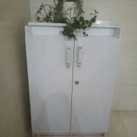 جاکفشی سفید فروش به علت کمبود جا