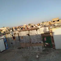 کفتر فروشی|پرنده|سبزوار, کهنه آب|دیوار