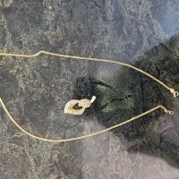 پلاک و زنجیر